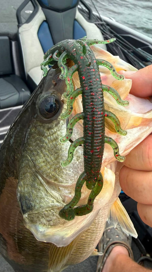 Seekapeed
