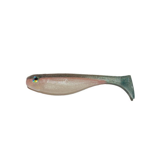 Red Streak Shad